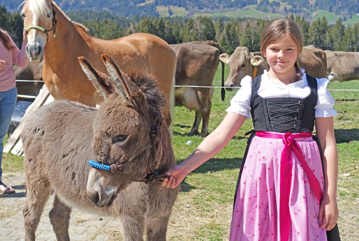 Beim Thanner - Eselwanderung